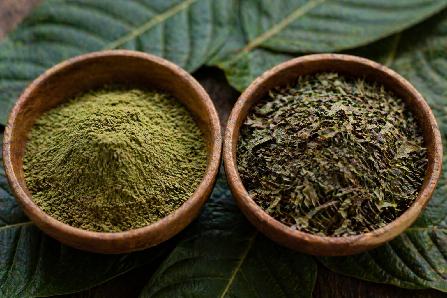 Polvo fino y hoja picada de Mitragyna speciosa — los dos formatos principales del catálogo de Edabea